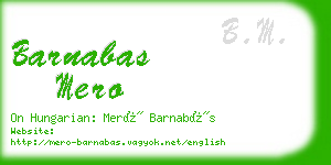 barnabas mero business card